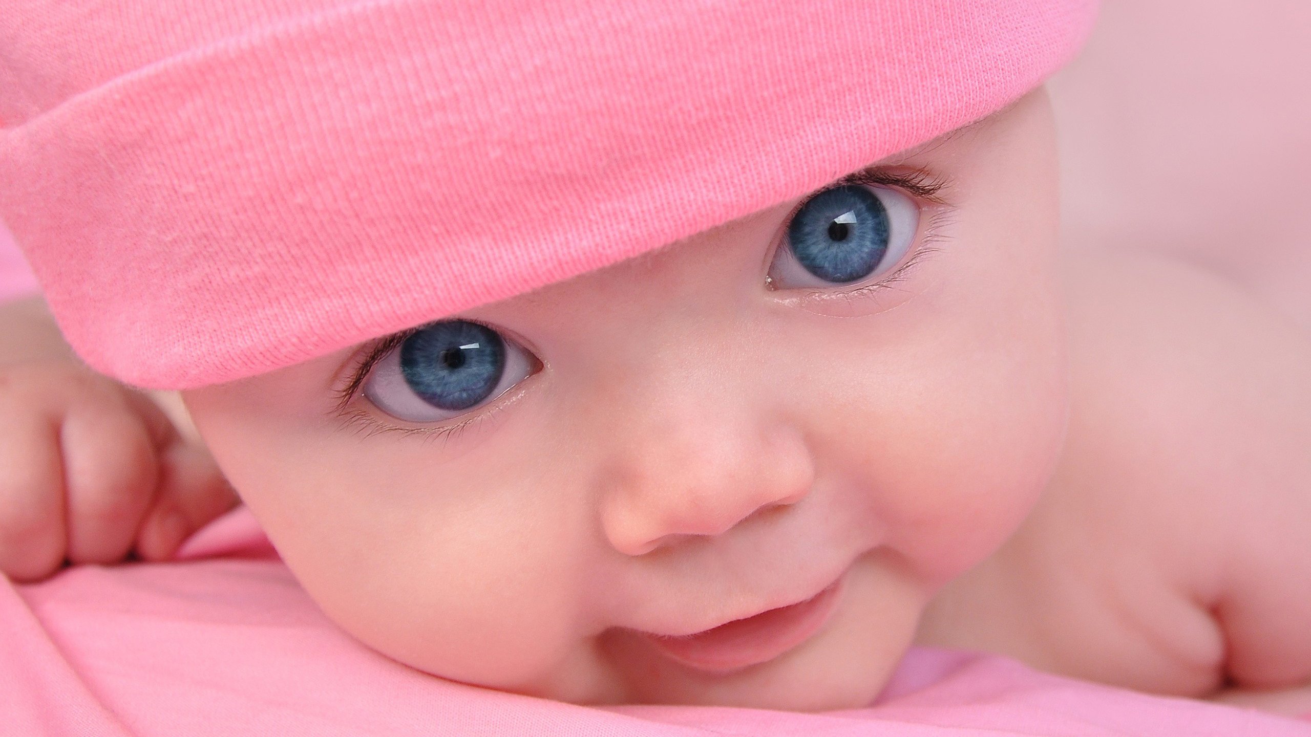 捐卵公司试管婴儿冻胚养囊胚成功率
